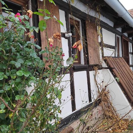 Petite Maison Alsacienne Entzheim Εξωτερικό φωτογραφία